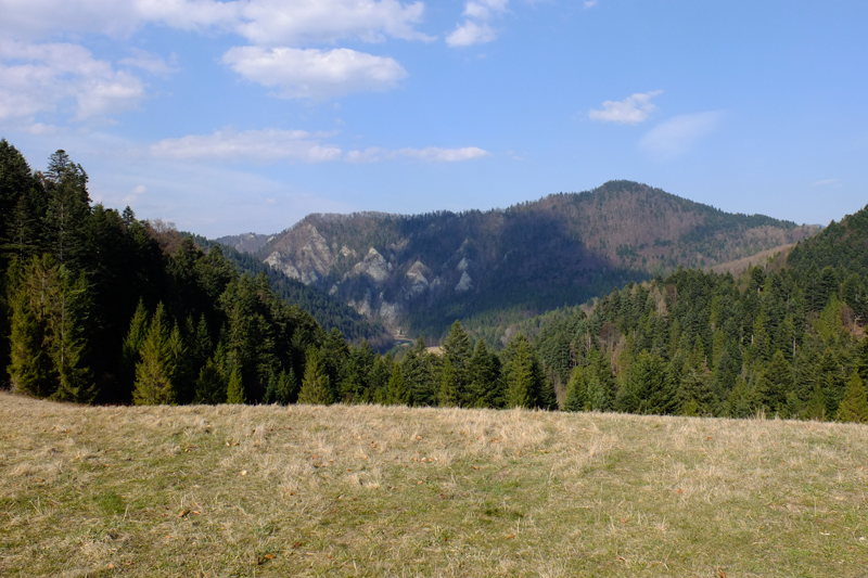 Widok z Okolic Przełęczy pod Klasztorną Górą (Sedlo Cerla)